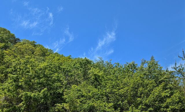 PXL_20260506_013044020
