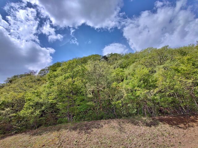 IMG_20220503_103533534_HDR