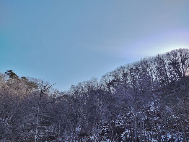 IMG_20220123_143304121