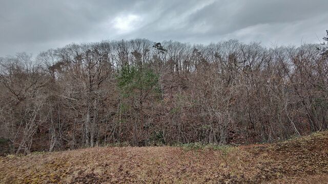 IMG_20230114_114644499_HDR