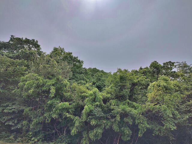 IMG_20220521_130205864_HDR