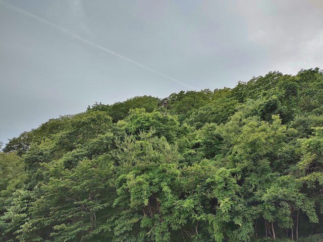 IMG_20220614_181247429_HDR