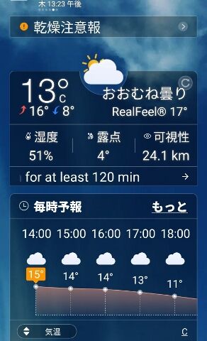 Screenshot_20260430-132306 (292x480)