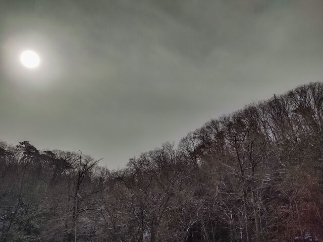 IMG_20220306_100455659_HDR_edited