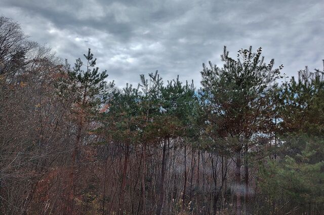 IMG_20221126_114922868_HDR