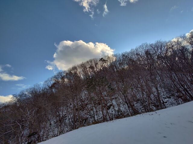 IMG_20220205_161109802_HDR