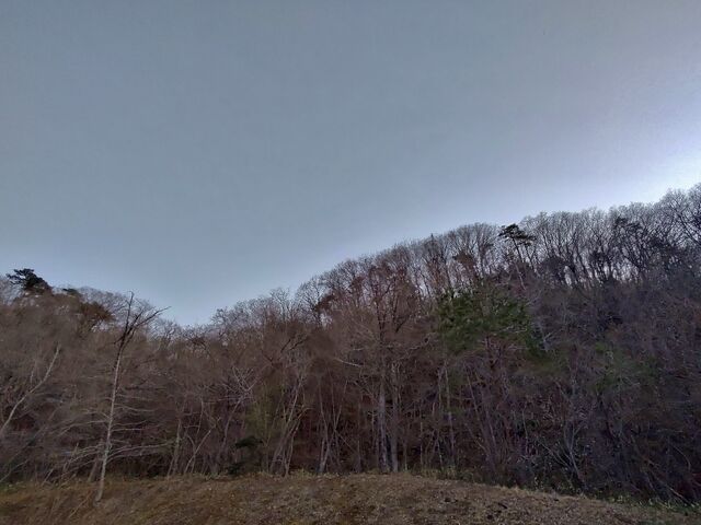 IMG_20220412_181444656_HDR