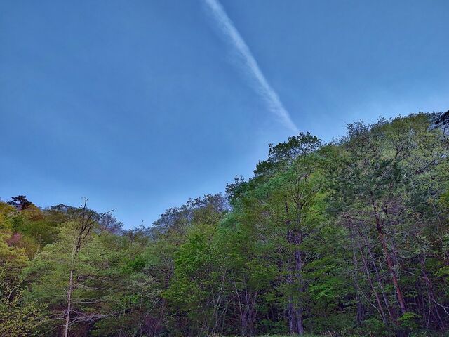 IMG_20220428_175454540_HDR