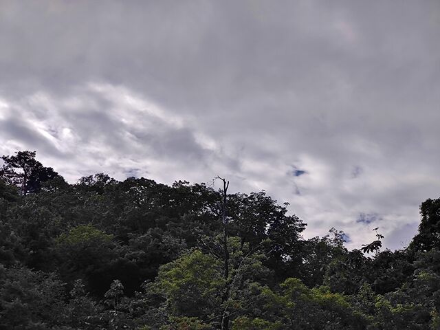 IMG_20220814_091721389