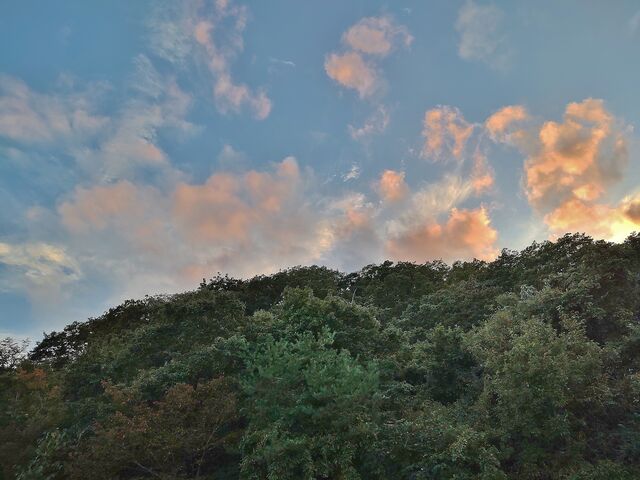 IMG_20221015_164733552
