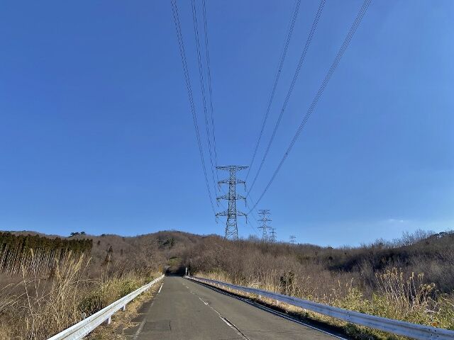 IMG_8481 (640x480)