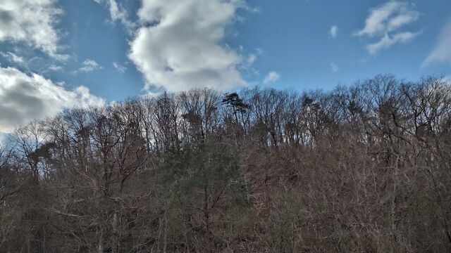 IMG_20230122_111257483_HDR