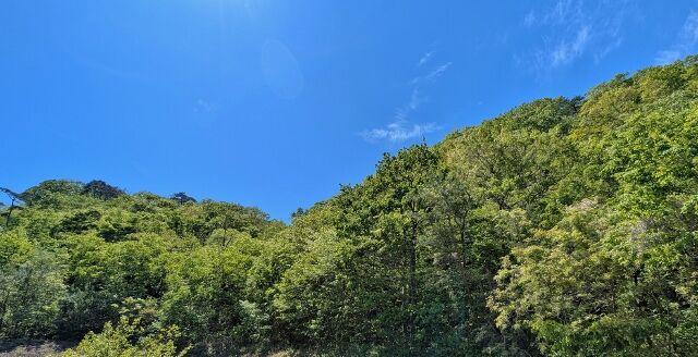 PXL_20260506_013101784 (640x328)