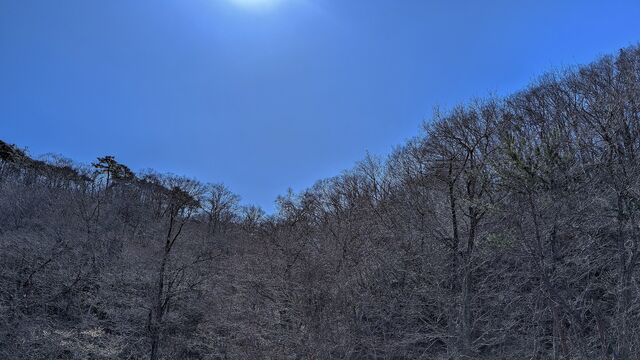 PXL_20260312_015940861