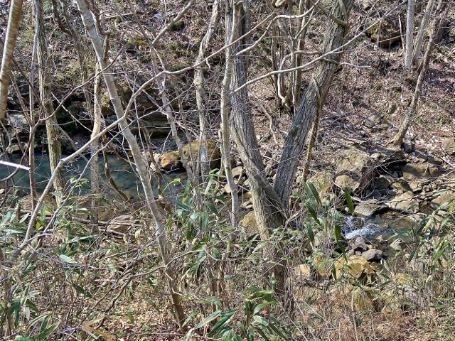 IMG_3510 (640x480)
