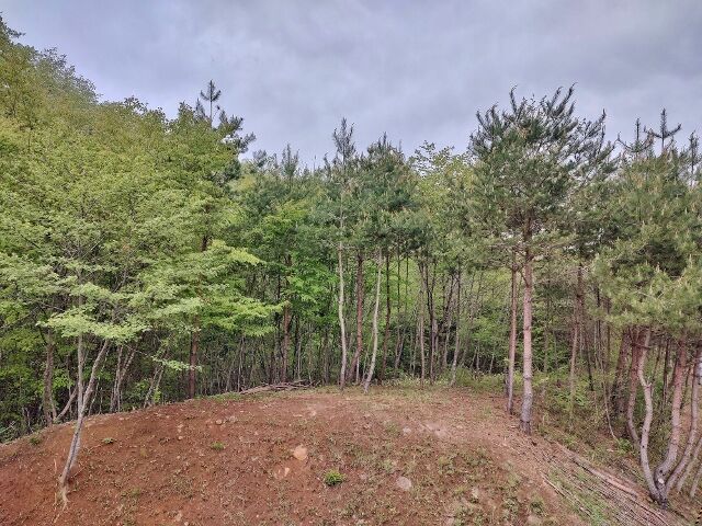IMG_20220501_073318215_HDR (640x480)