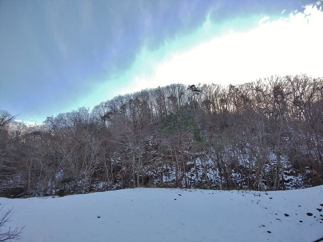 IMG_20220129_160156144