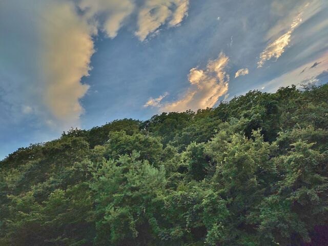 IMG_20220809_181335452_HDR