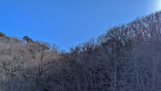 PXL_20260222_050644879