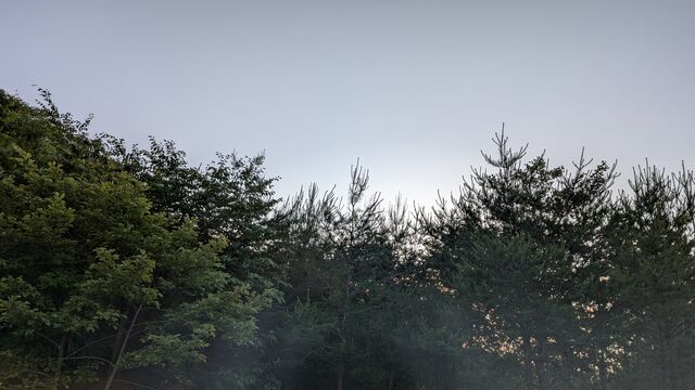 PXL_20250615_085116607