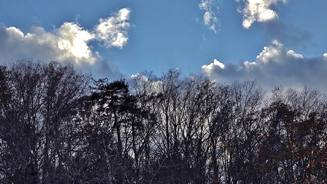 IMG_20221126_145835653