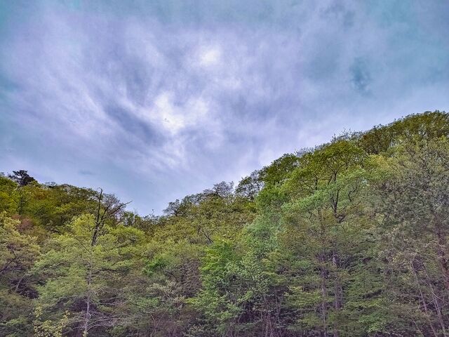 IMG_20220501_072738803_HDR_edited