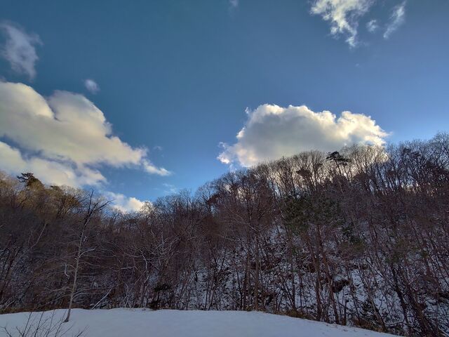 IMG_20220205_161100089_HDR