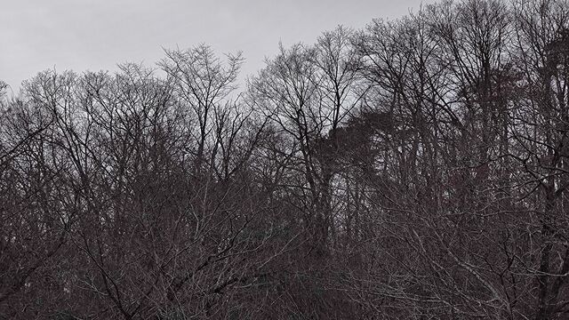 IMG_20230107_103530948
