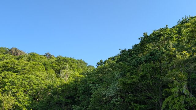 PXL_20260515_073940403