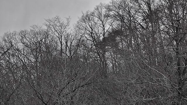 IMG_20221218_142047078