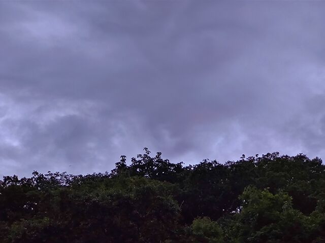 IMG_20220824_182730457