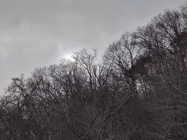 IMG_20220206_113010882