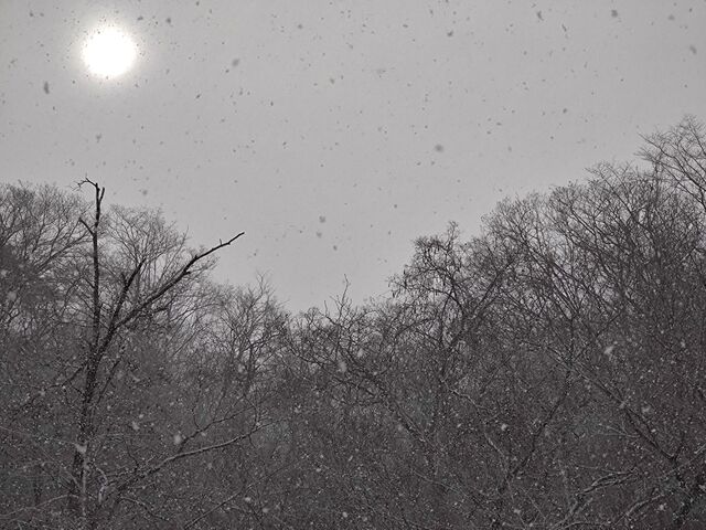 IMG_20211231_102904575