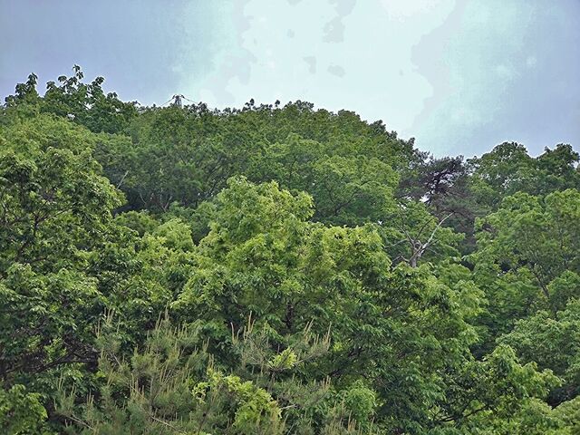 IMG_20220521_131222866