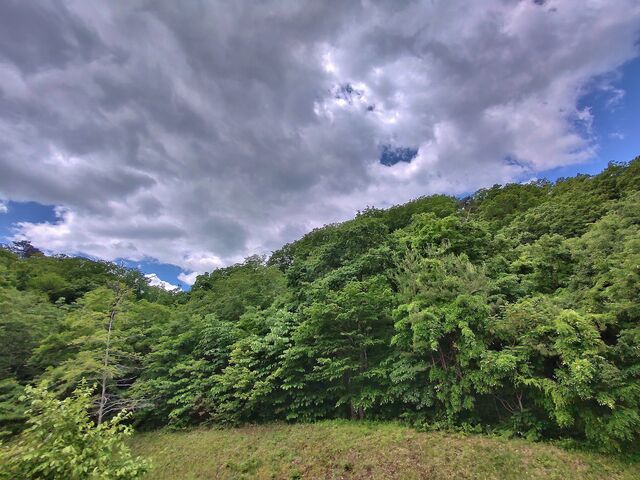 IMG_20220528_101300398_HDR