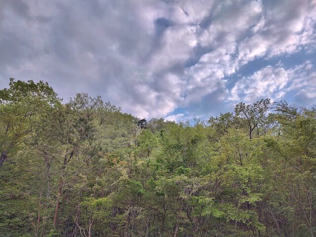 IMG_20220502_171100739_HDR
