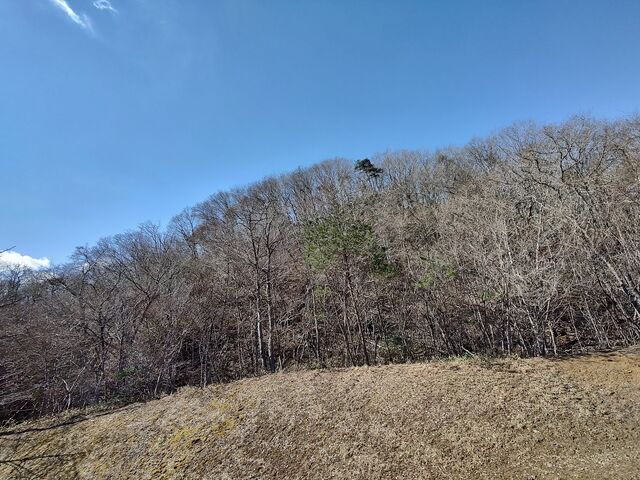 IMG_20220402_093102454_HDR