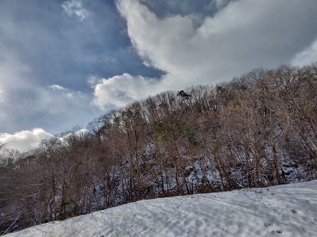 IMG_20220206_103351508_HDR