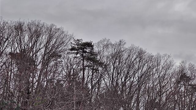 IMG_20230114_114708606