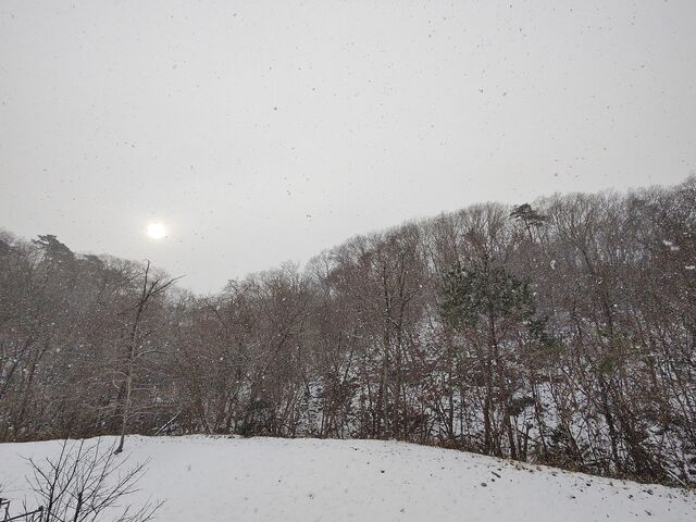 IMG_20211231_102849443