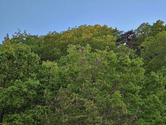 IMG_20220509_181219872