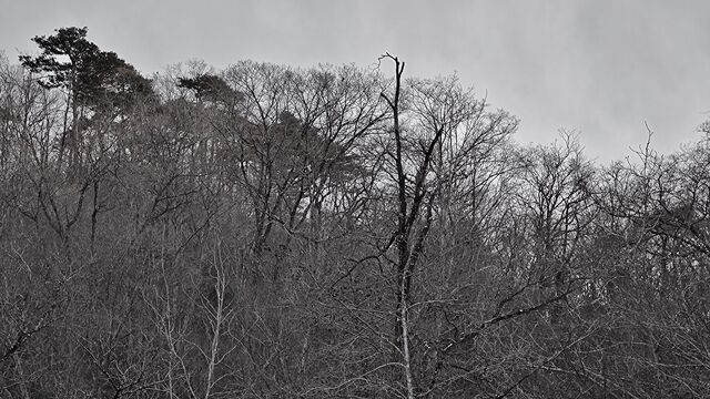 IMG_20221218_142039993