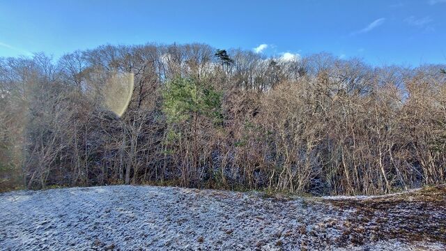 IMG_20221230_101949199_HDR