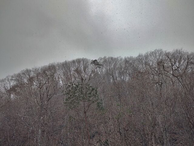IMG_20220322_113319433_HDR