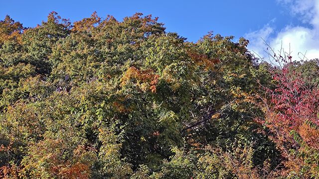 IMG_20221103_102116915