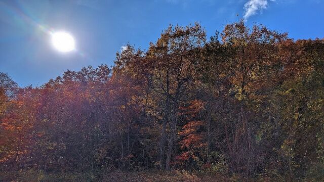 PXL_20251117_015822485 (640x360)