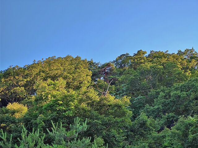 IMG_20220701_182706937