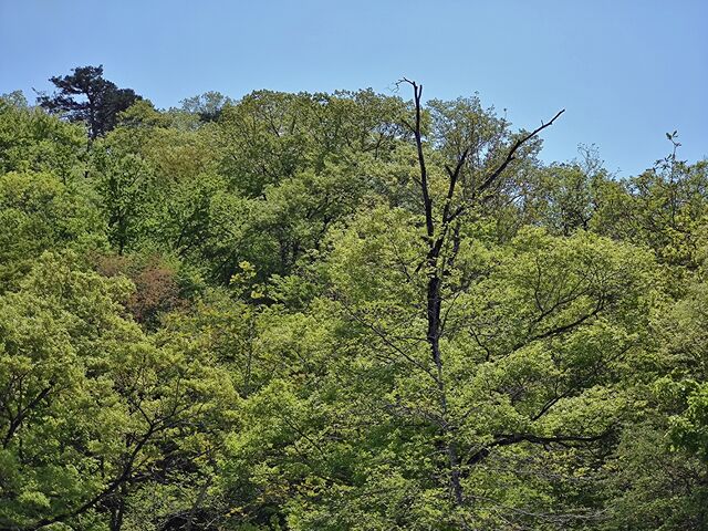 IMG_20220504_113505059