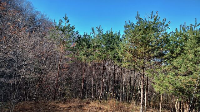 IMG_20221127_102805351_HDR