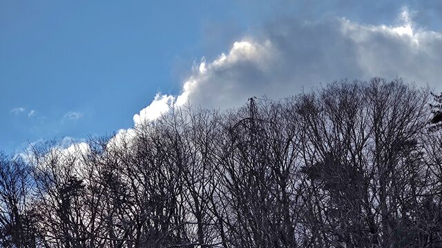 IMG_20221230_143731377